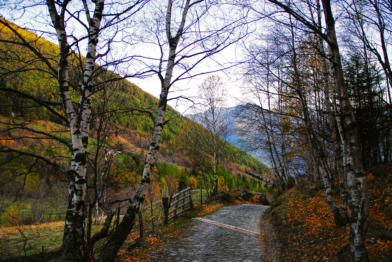 Autunno in val grande