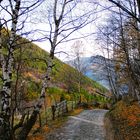 Autunno in val grande