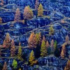 Autunno in Val Malenco