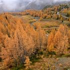 Autunno in Val Malenco