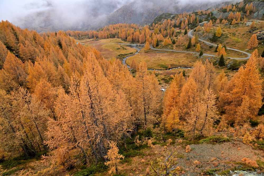 Autunno in Val Malenco