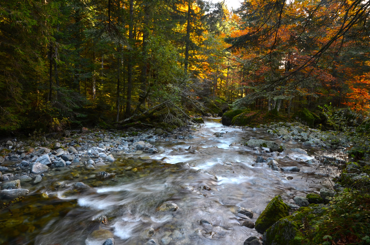 autunno in val Masino