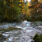 autunno in val Masino