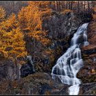 Autunno in Val Pellice (TO)