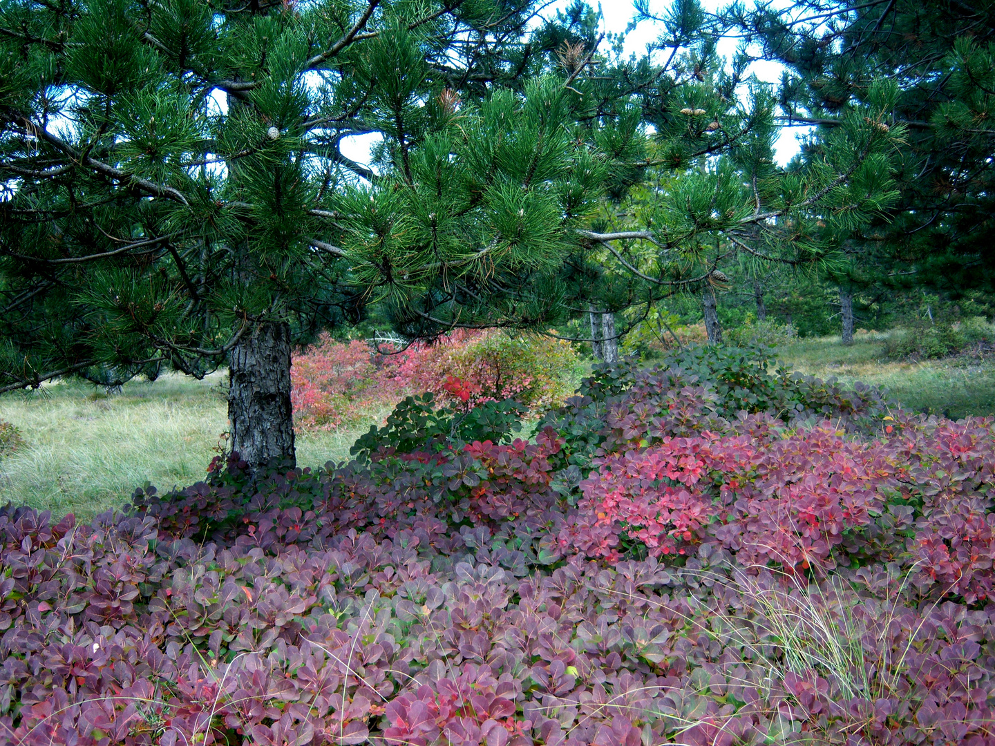 AUTUNNO IN VAL ROSANDRA TRIESTE