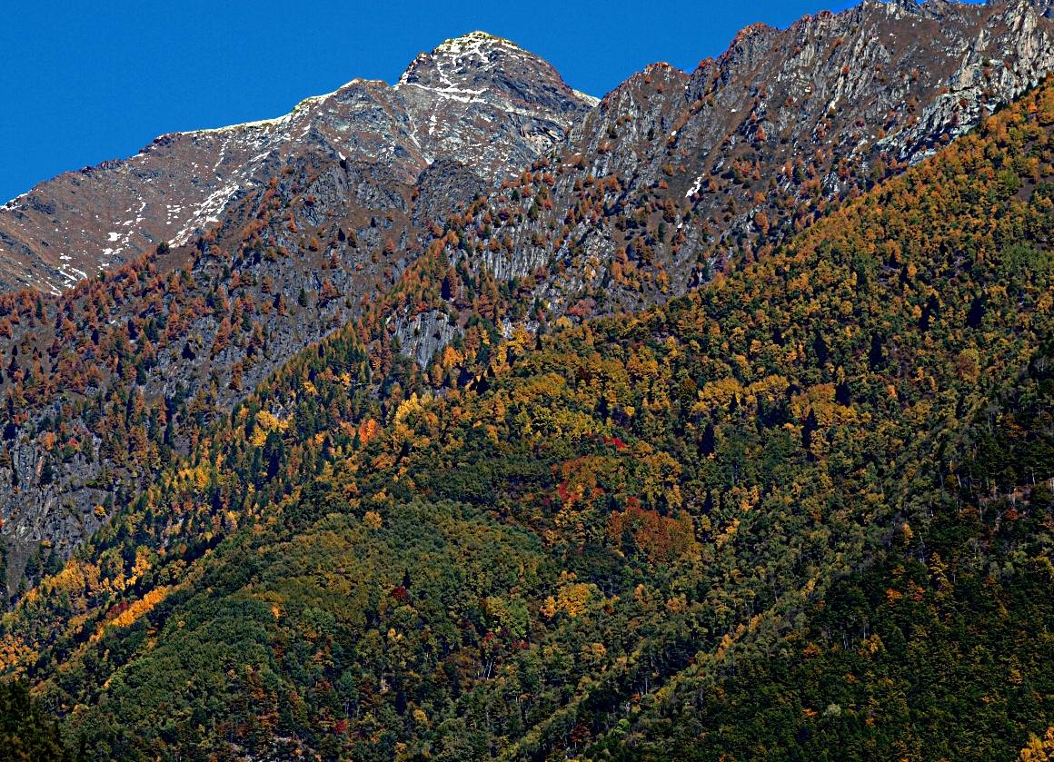 Autunno in Valfontana...