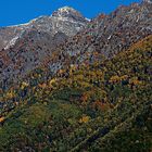 Autunno in Valfontana...