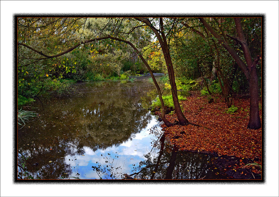 Autunno in valle 2