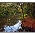 Autunno in valle 2