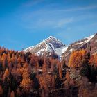Autunno in Valle Antrona