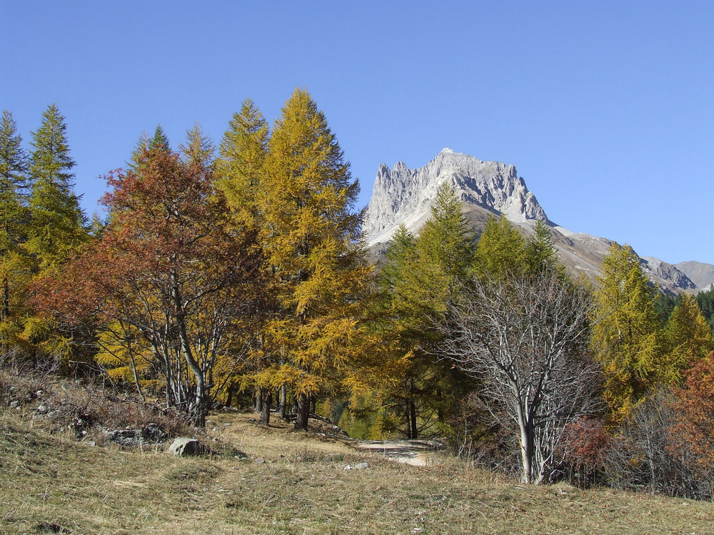 Autunno in Valle Stretta (Bardonecchia)