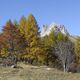 Autunno in Valle Stretta (Bardonecchia)