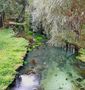 IT: Autunno in Valnerina by Giancarlo Balzarini