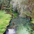 Autunno in Valnerina