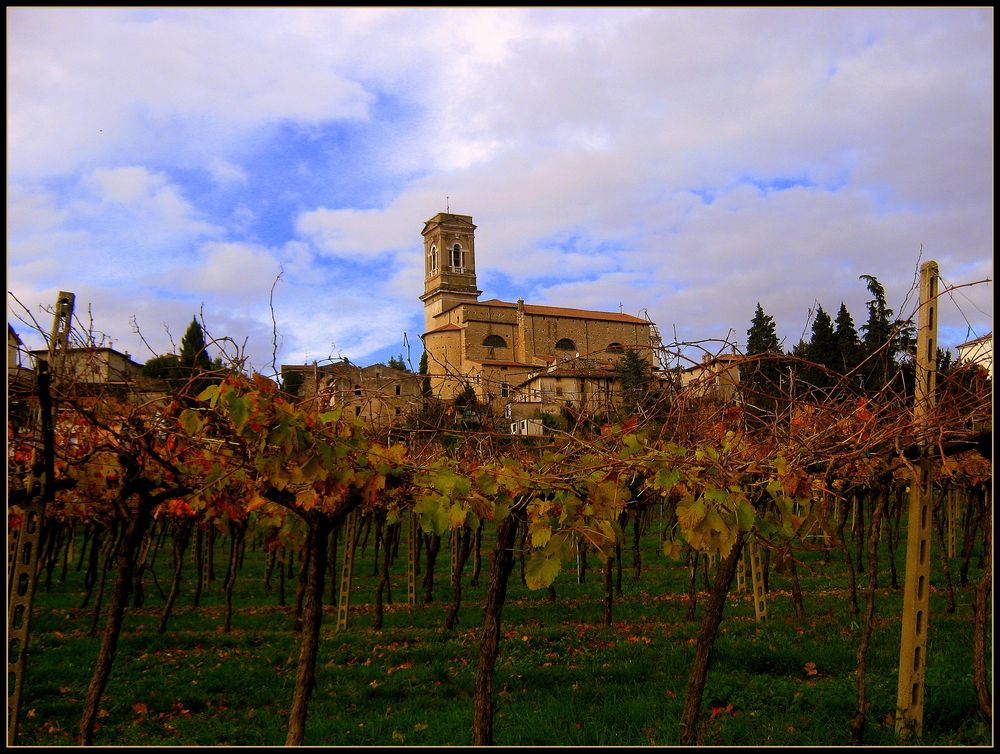 Autunno in Valpolicella...1