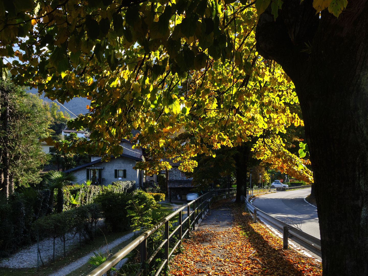 Autunno in Via Europa