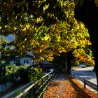 Autunno in Via Europa