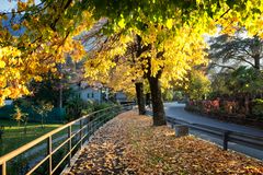 Autunno in via Europa