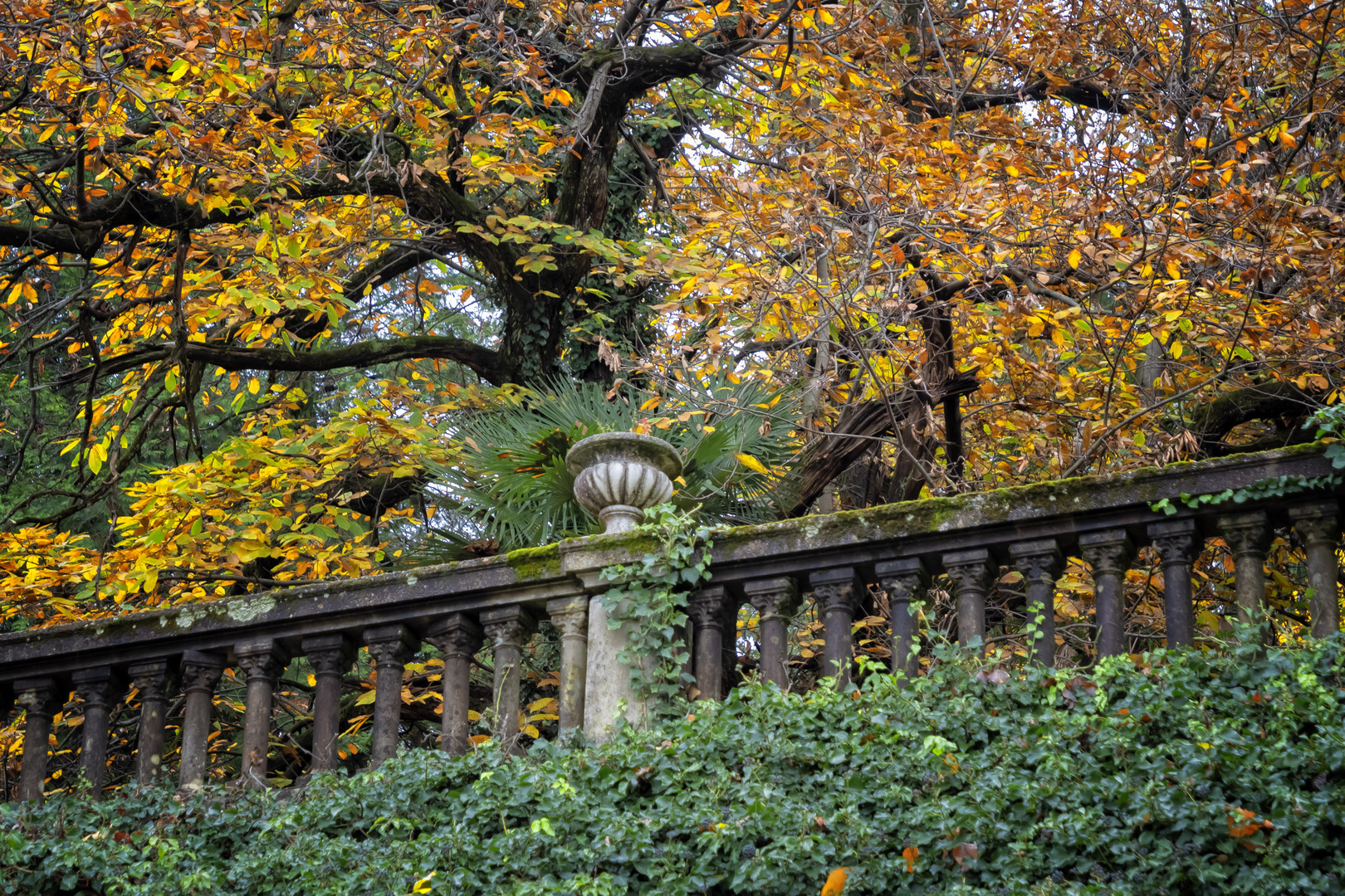 Autunno in villa