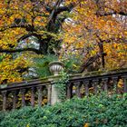 Autunno in villa