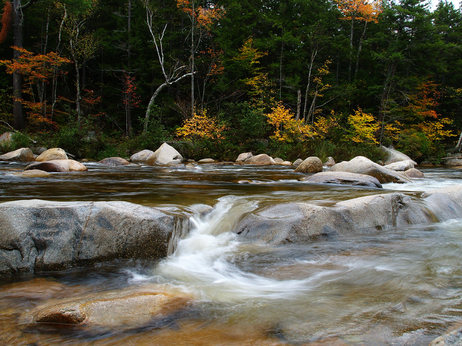 Autunno in Virginia U.S.A 02