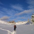 Autunno innevato