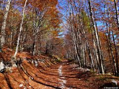 Autunno inoltrato