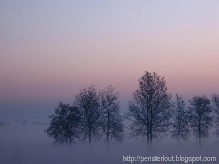 Autunno: la fiaba ha inizio