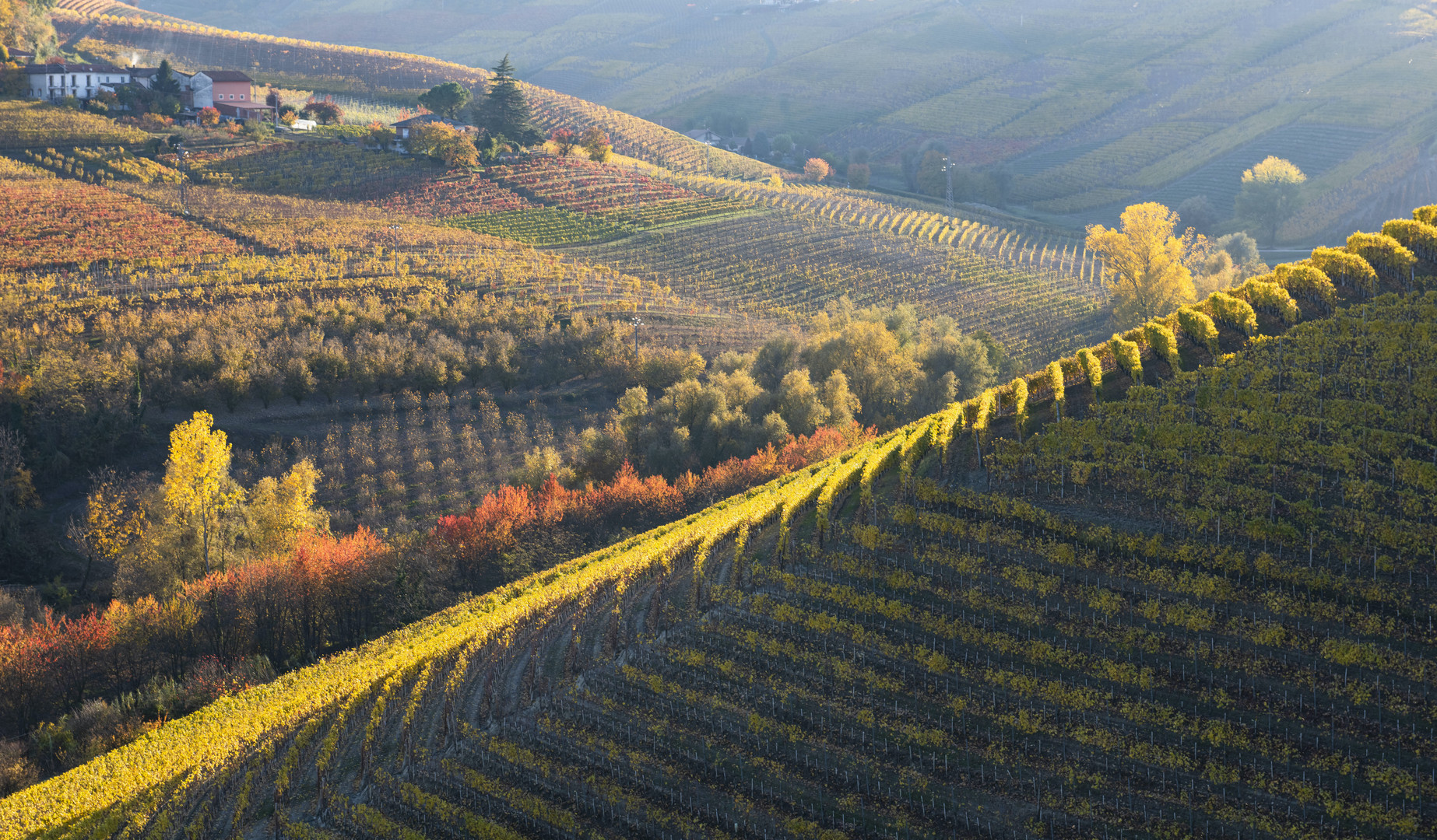 Autunno Langarolo