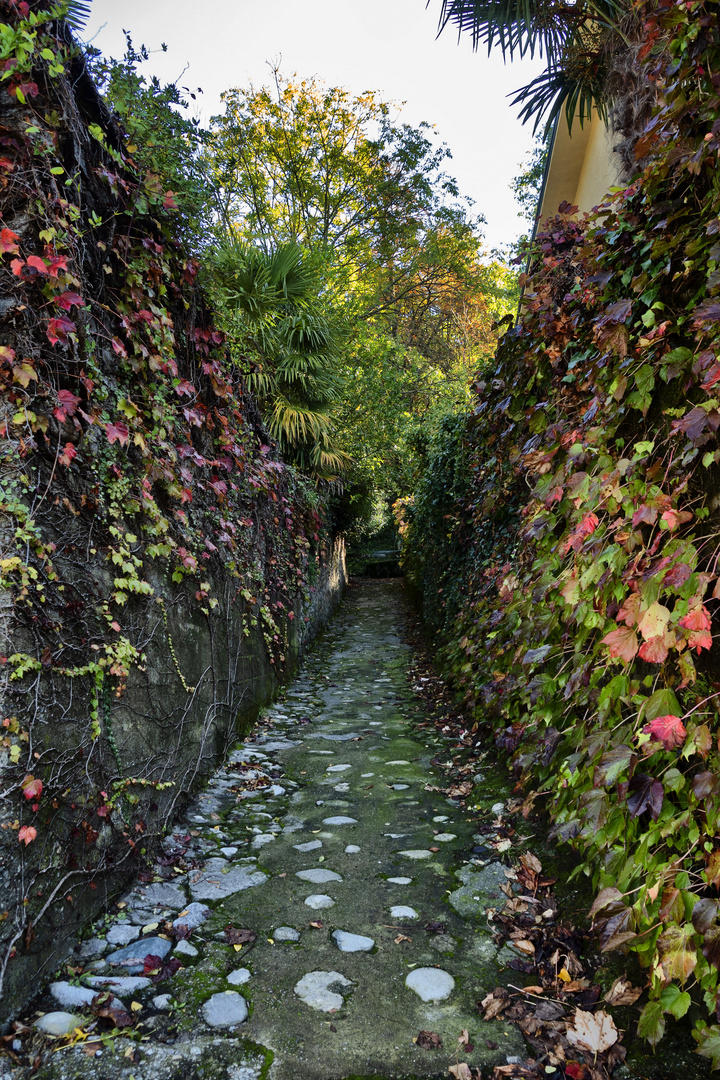 Autunno, luce e colori