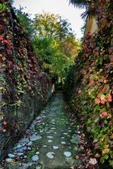 Autunno, luce e colori