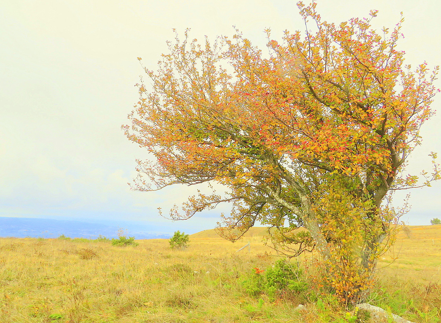 autunno luminoso