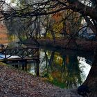 Autunno. magie, colori.-