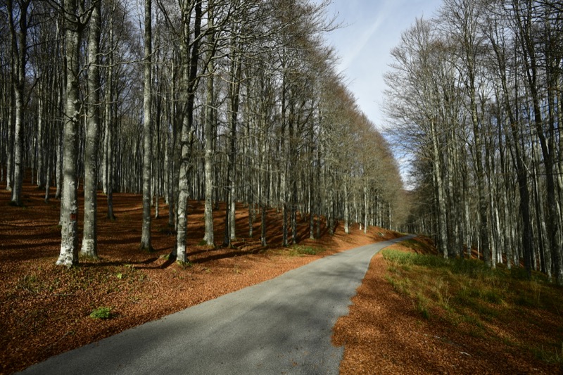 autunno monte pizzoc