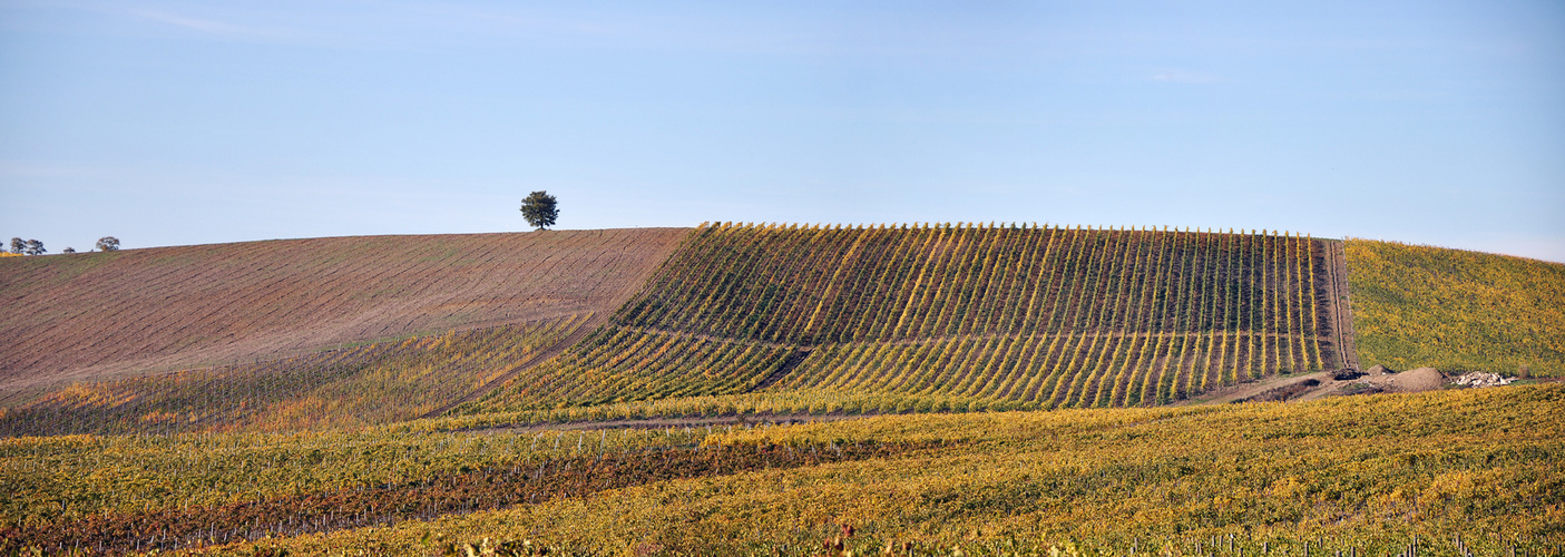 autunno nel chianti