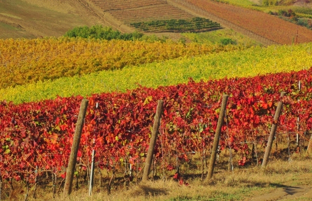 Autunno nel Chianti