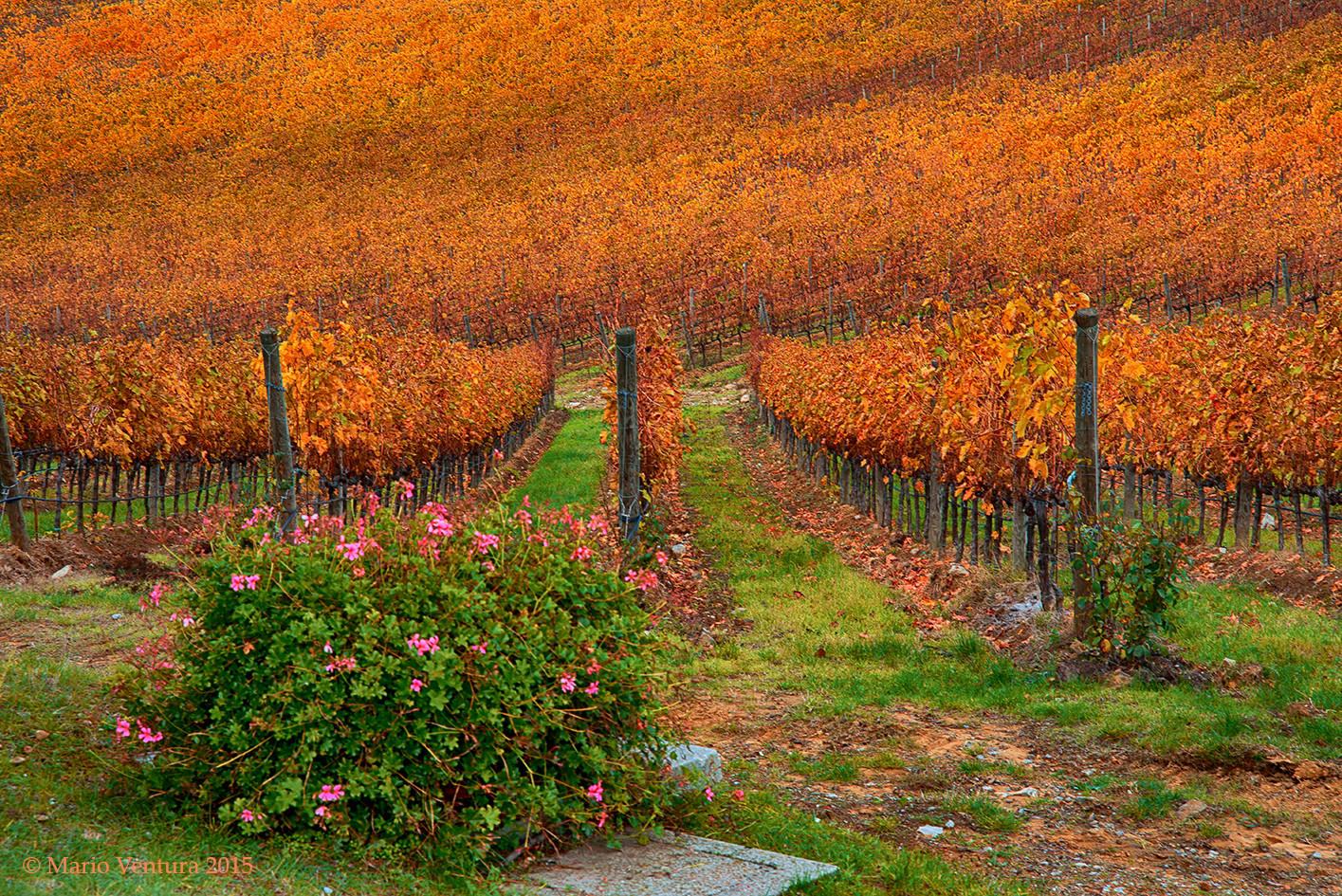 Autunno nel Chianti