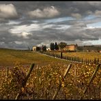 autunno nel chianti...