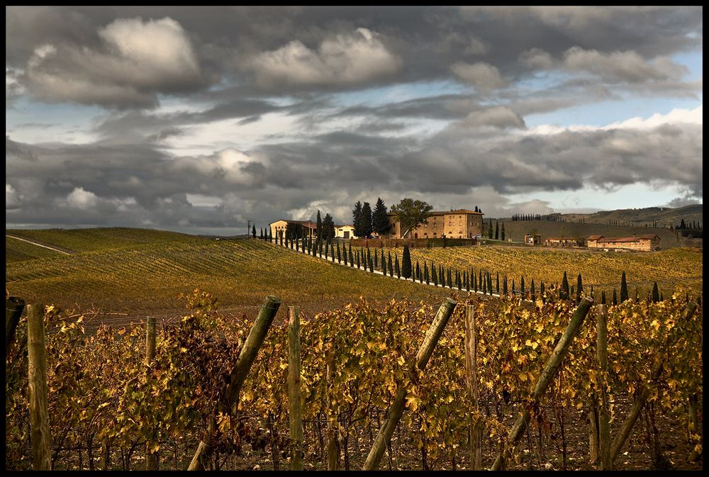 autunno nel chianti...