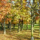 autunno nel parco