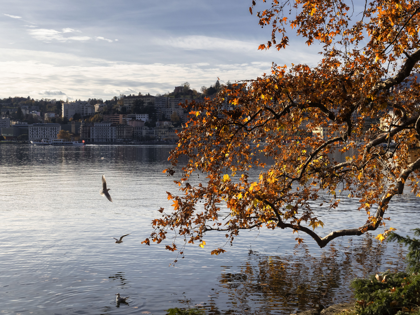 Autunno nel Parco Ciani, Lugano