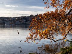 Autunno nel Parco Ciani, Lugano