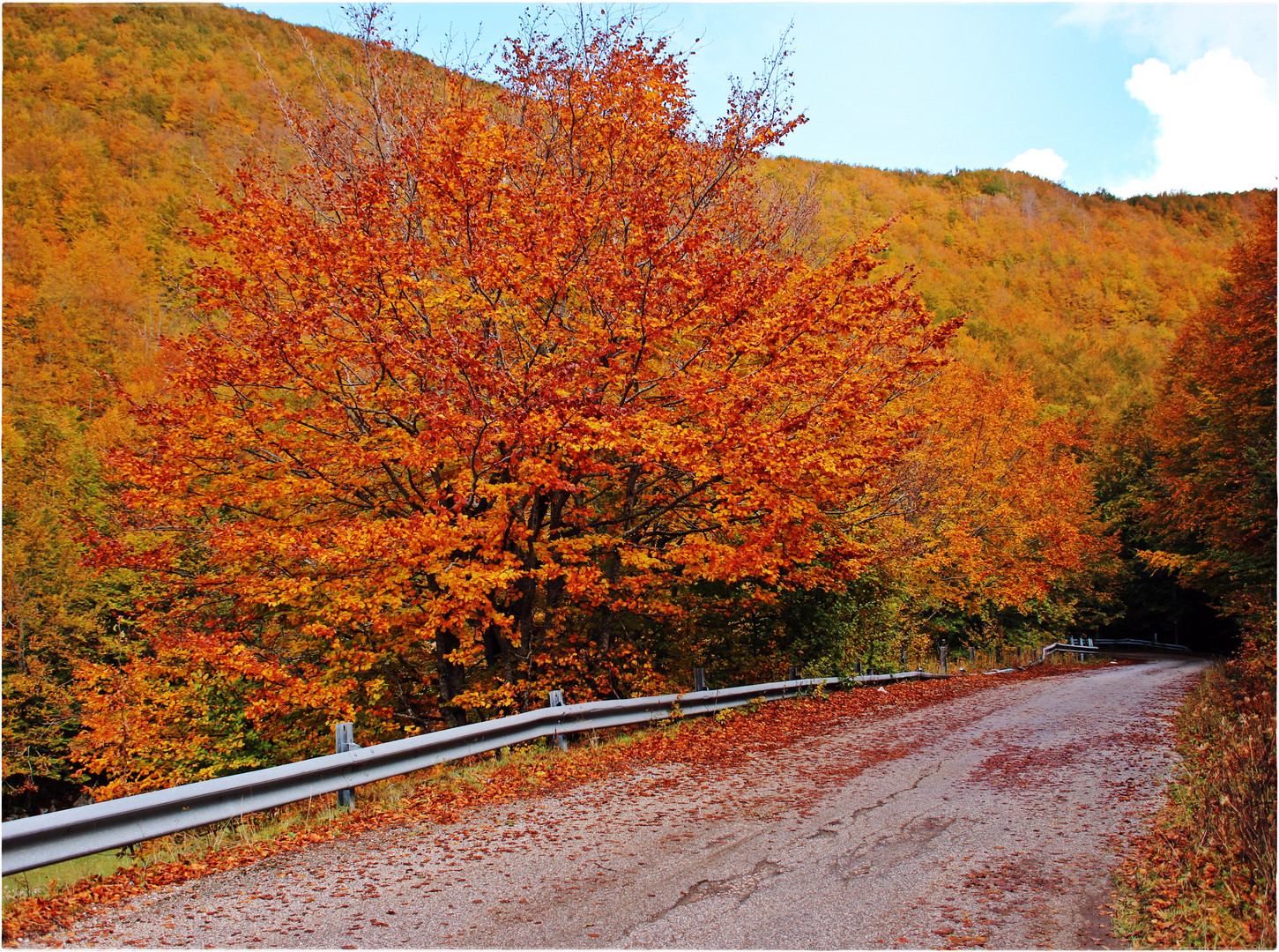 AUTUNNO ON THE ROAD