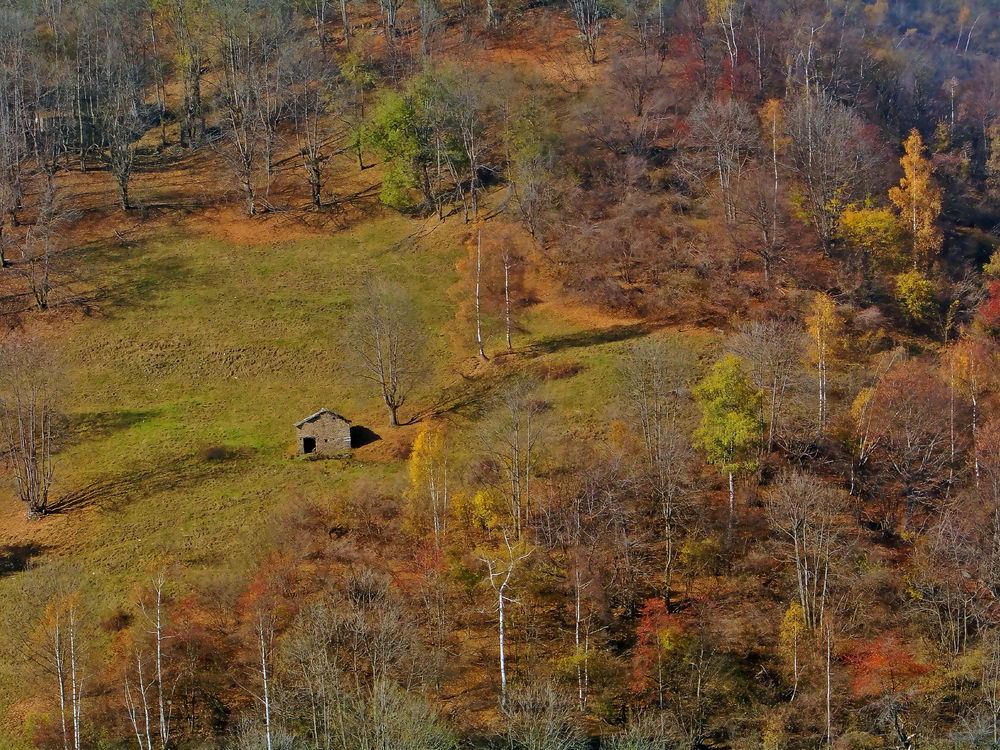 autunno pian munè