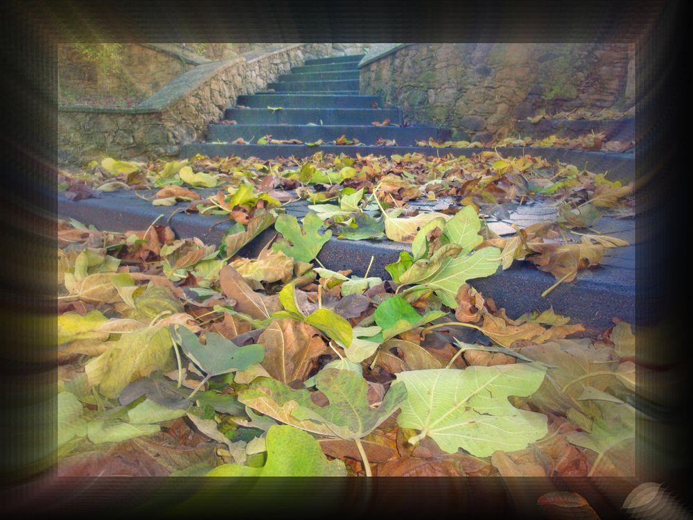 Autunno: "Primavera dell'inverno"