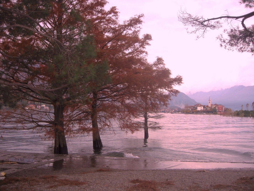 autunno rosa