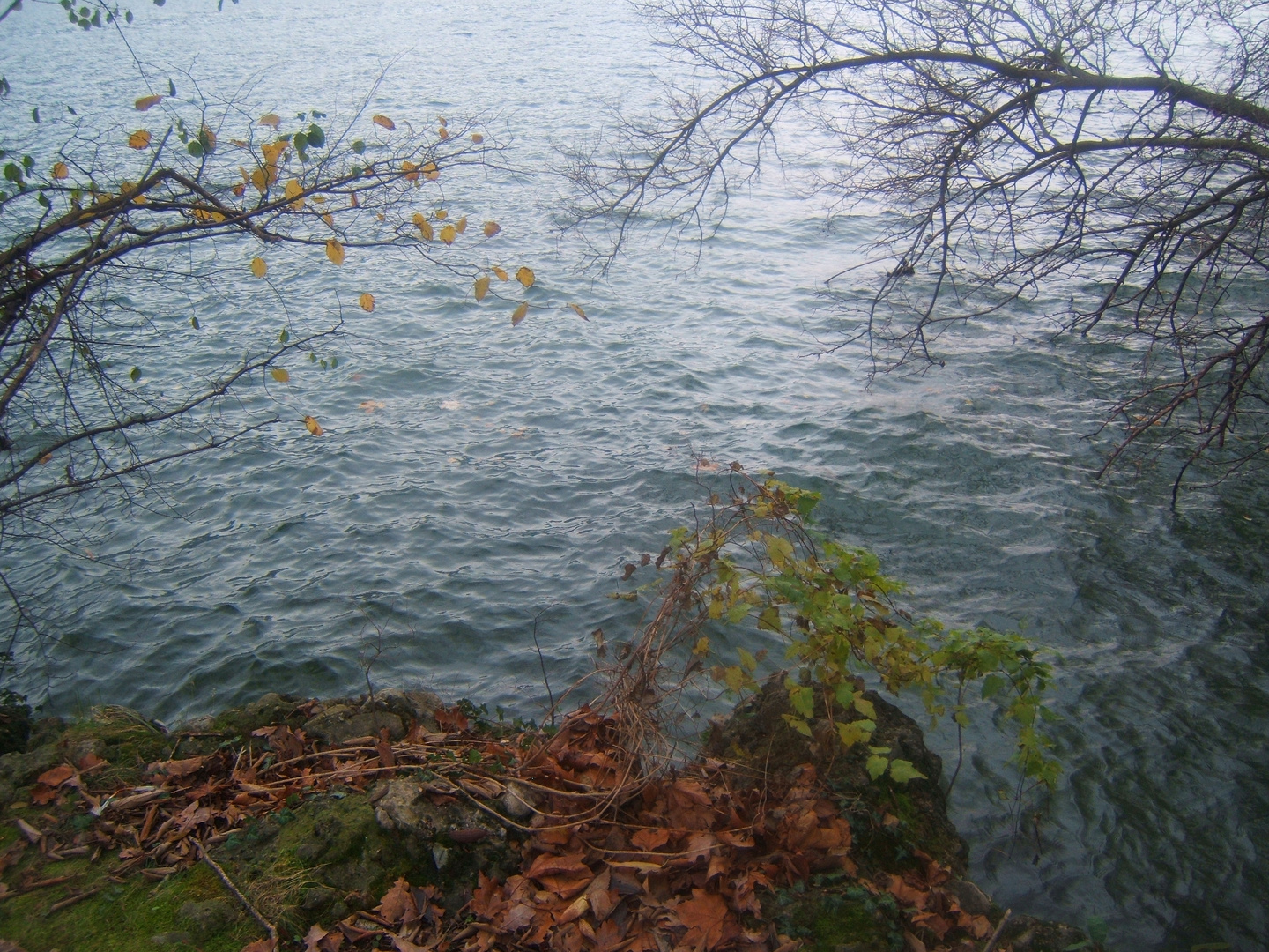 autunno sfinito sul Lago di Como