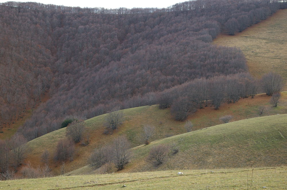 autunno sui monti della Laga