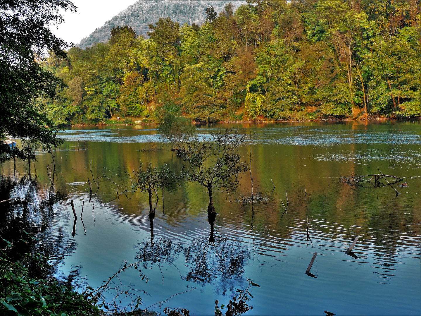 Autunno sul fiume 1