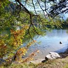 Autunno sul lago